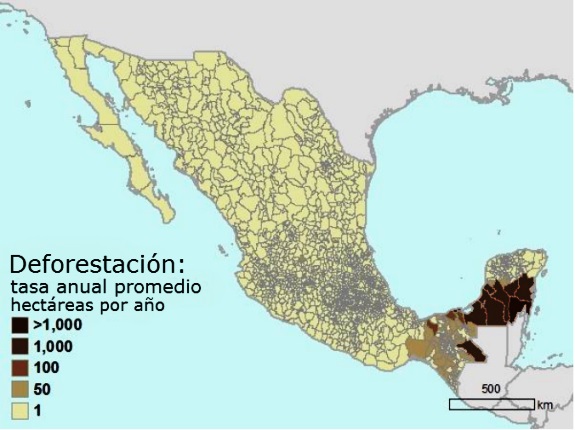 La deforestación en México 