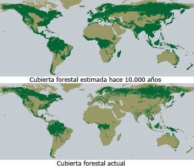 [Imagen: nivel-deforestacion-en-el-mundo.jpg]